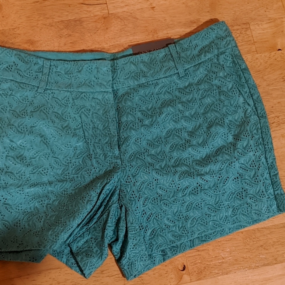 Ann Taylor Shorts